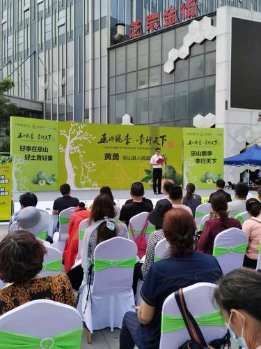 重慶李子年產(chǎn)量約68.8萬噸,脆李種植戶基本實現(xiàn)家門口就能投遞