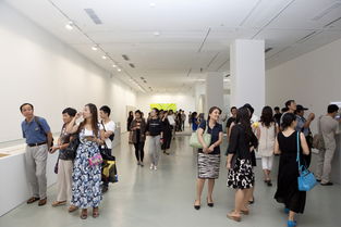 第十二屆全國美展實驗藝術展區在北京開幕 推動文化藝術交流新篇章